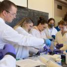Students in lab